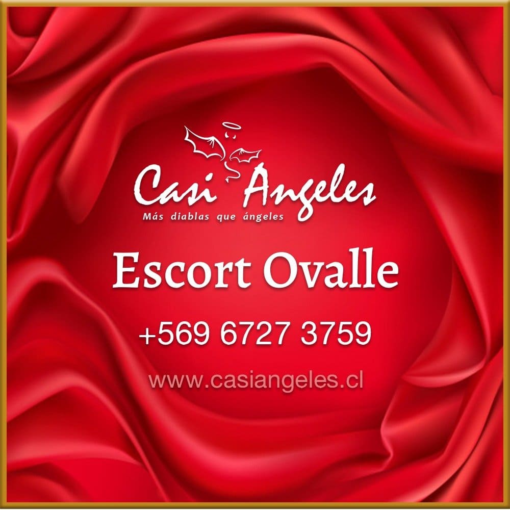 Logo Casi Angeles Escort Ovalle